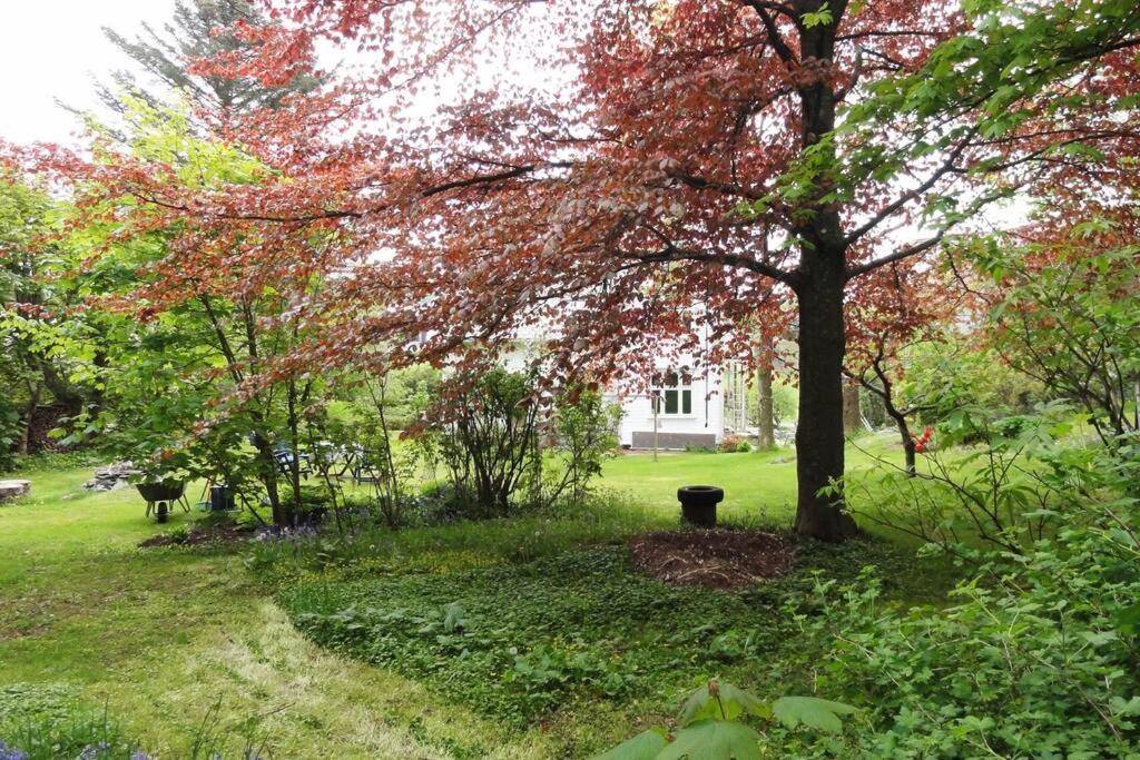 Charming Flat In Cosy Farmhouse Skudeneshavn Екстер'єр фото